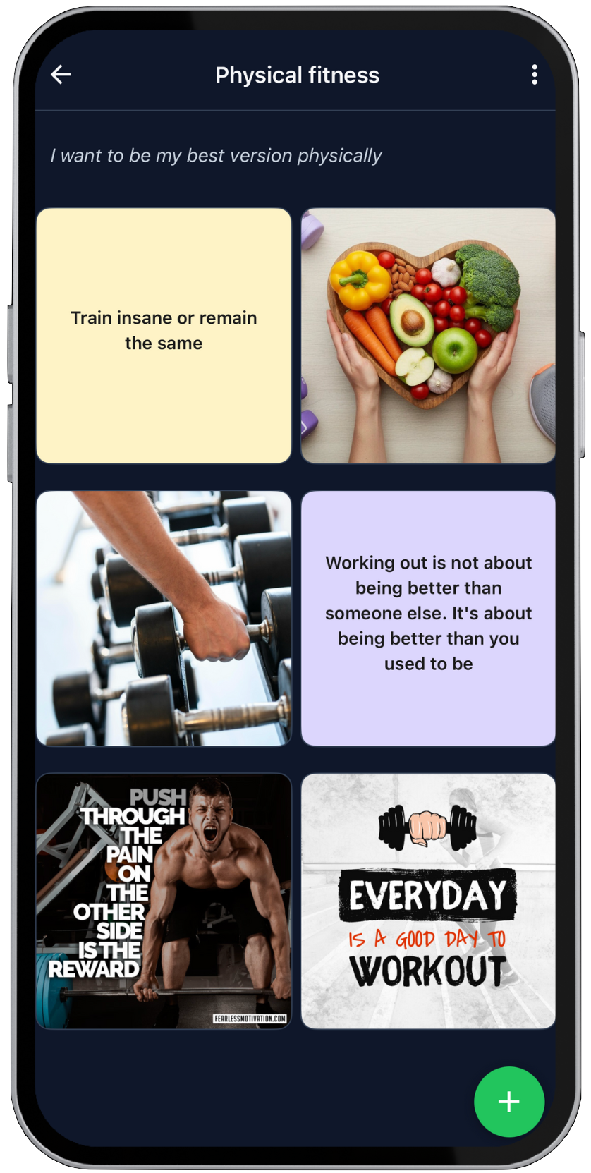 Vision board on a phone home screen in LifeMaxing